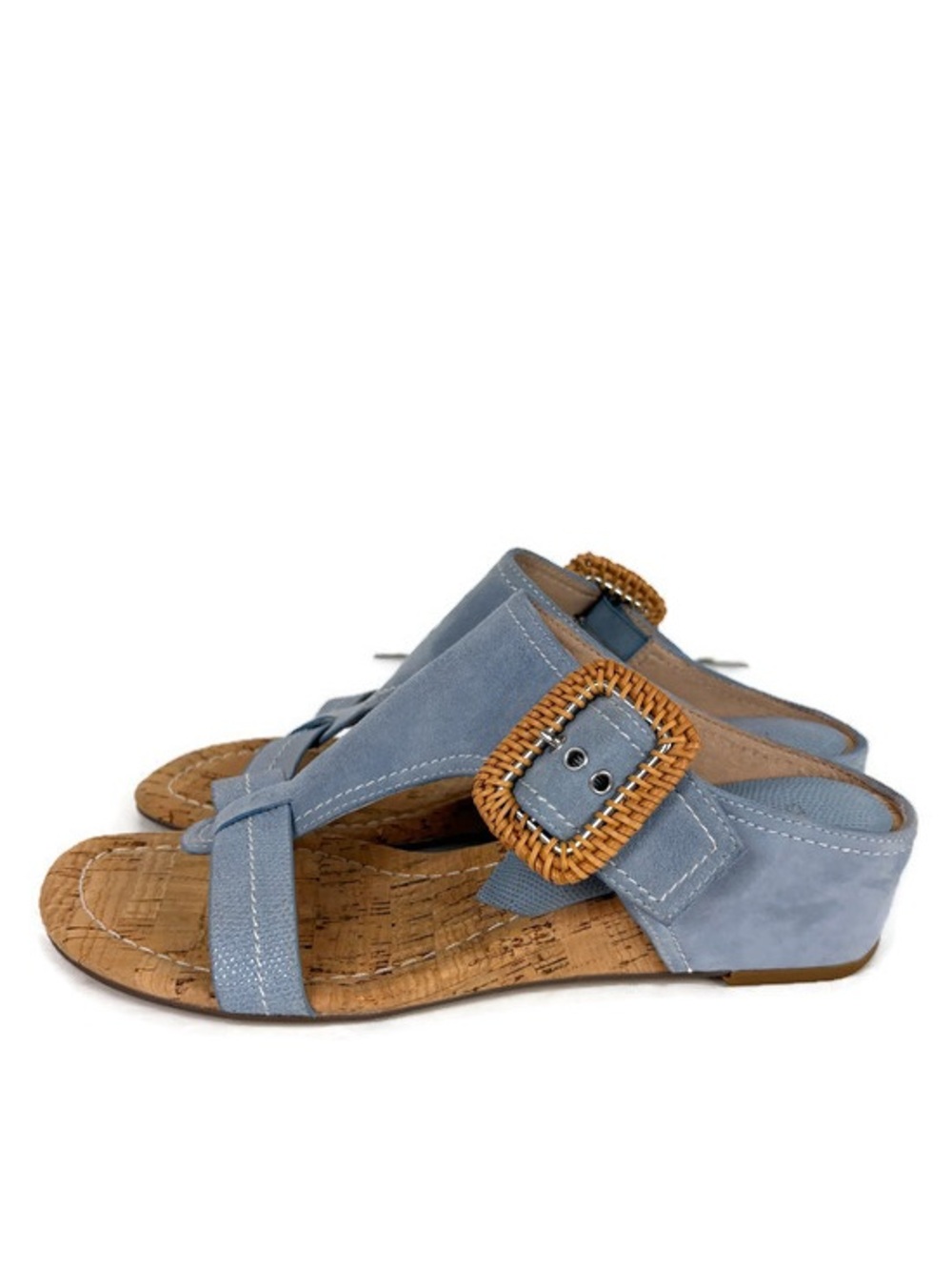 Donald J. Pliner Ofelia Suede Buckle Wedge Sandals in Baby Blue